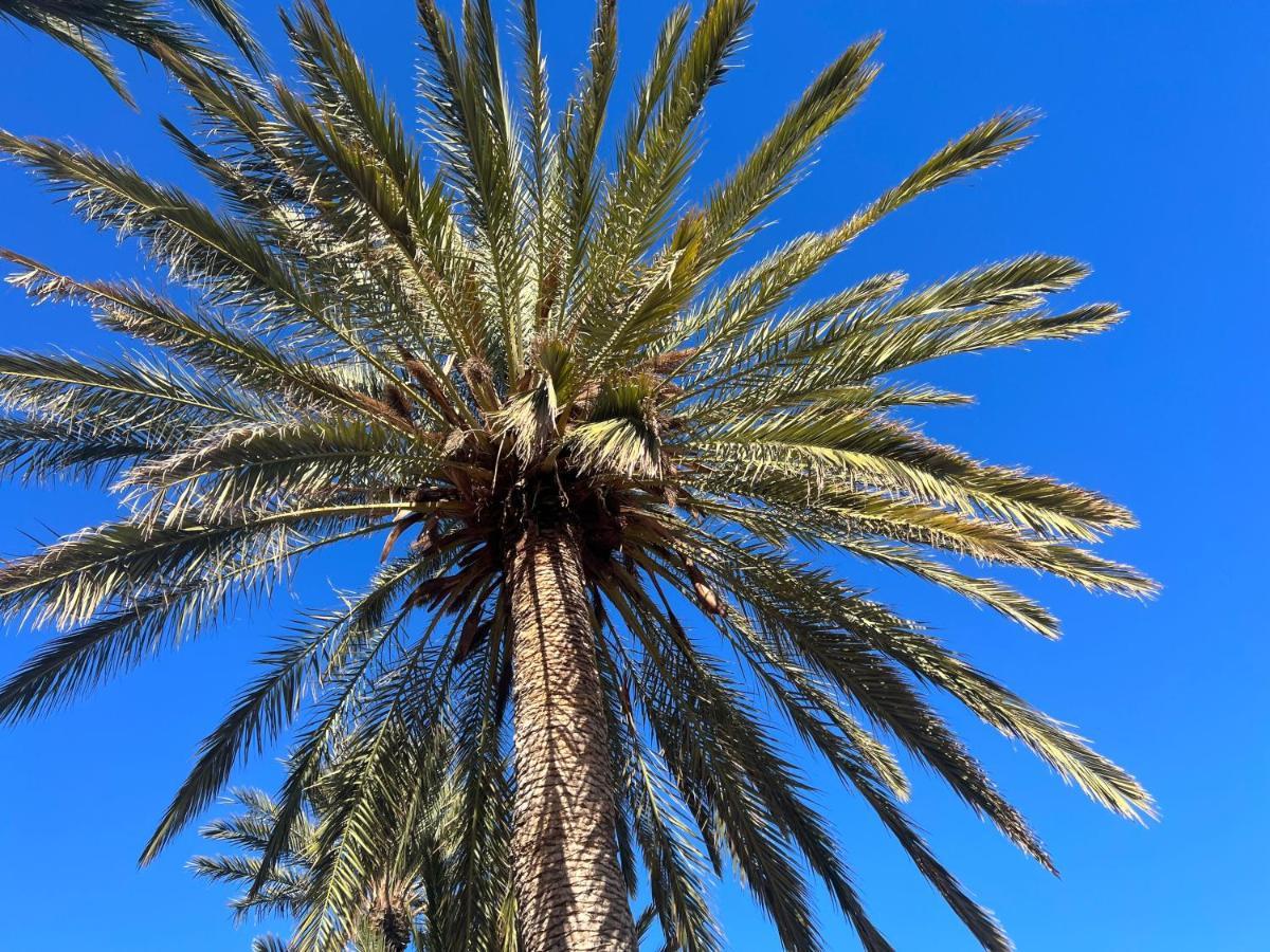 Fincasol San Sebastián de la Gomera Eksteriør bilde